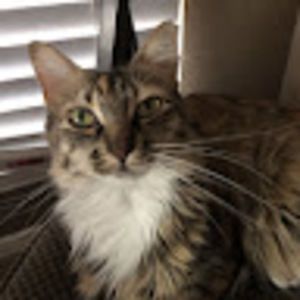 Meet your Posher, Ellena